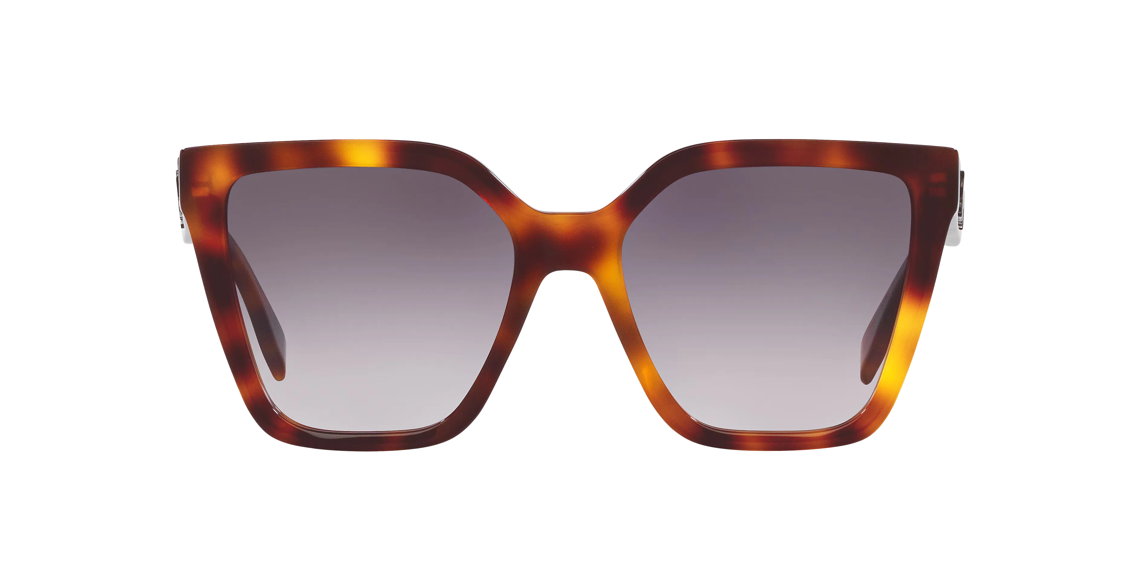 0FN000669__4600B1_030A