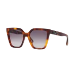 0FN000669__4600B1_030A