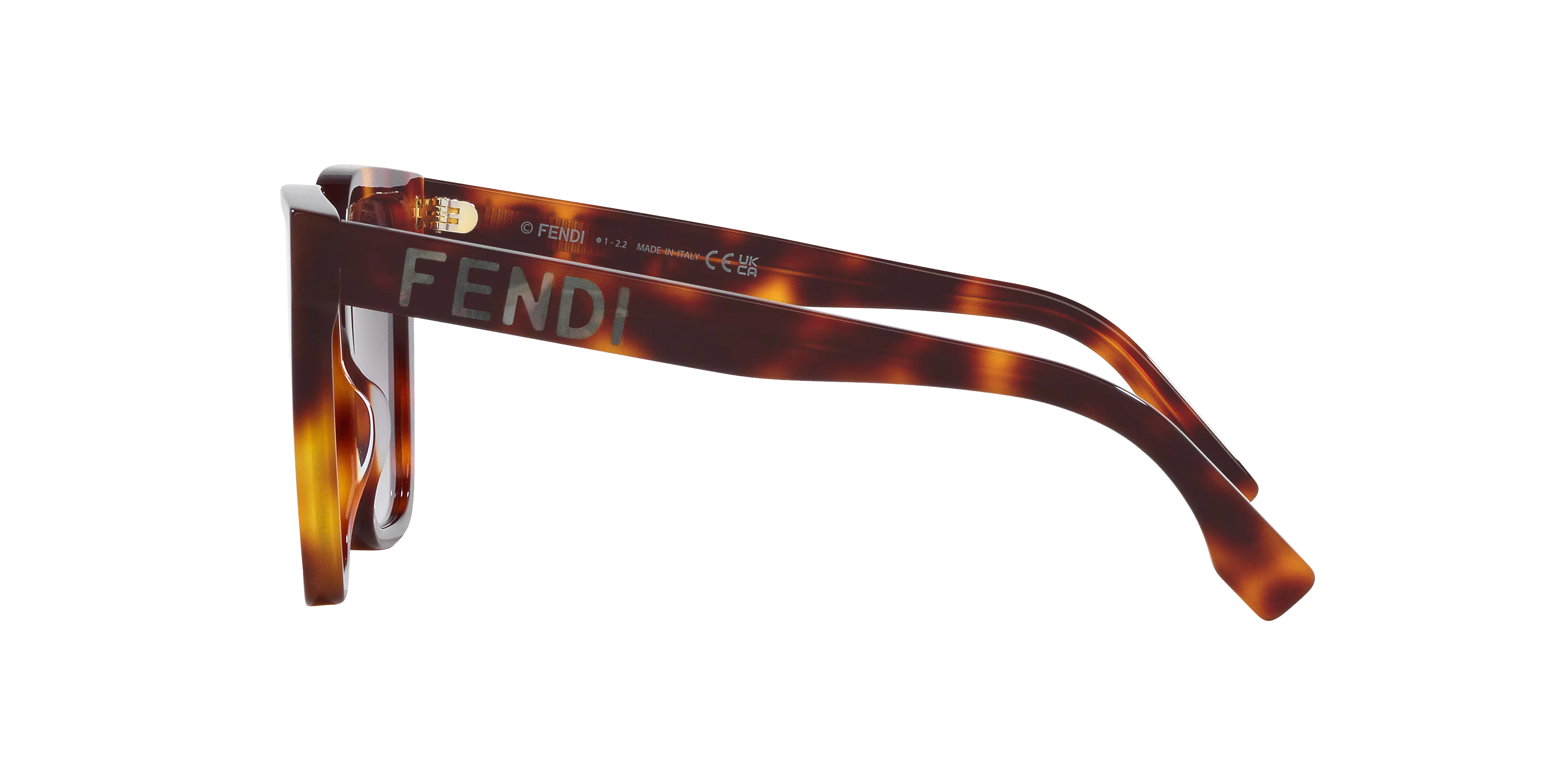 0FN000669__4600B1_030A