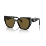 0PR_19ZS__19D01T__P21__shad__qt